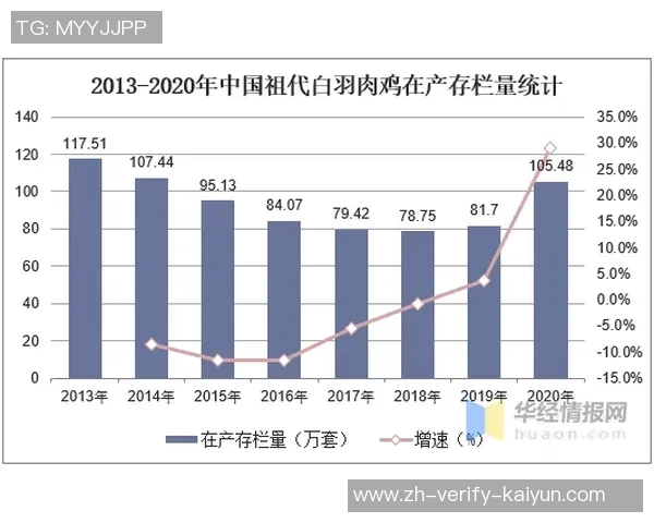 恒大足球的价值探讨与未来发展潜力分析
